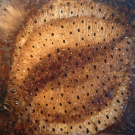 Дура в крапинку