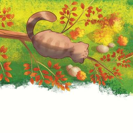 Манул застрял на дереве