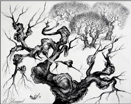 Каповая роща. Иллюстрация из книги.