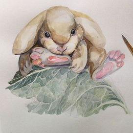 Акварельный кролик