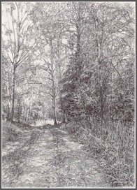 лесная дорожка