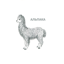 Азбука