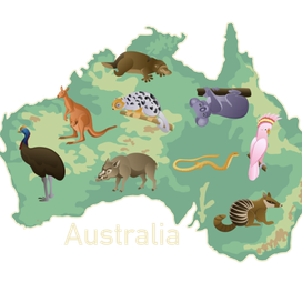 Детское развитие