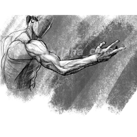 Рука Брюса Ли