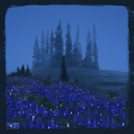 Ночь и цветуля