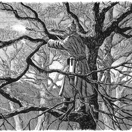 Занимает каждый сук злой germanischer Kuckuck.