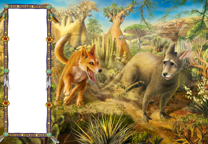 желание старого кенгуру. Киплинг.