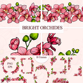 Яркие орхидеи