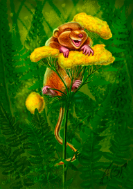 мышь на цветке