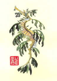 Кто дракон? Я - дракон!