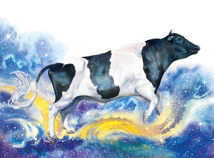 Бык Тойстори. Обложка календаря.