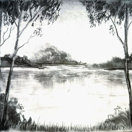 природа на острие карандаша