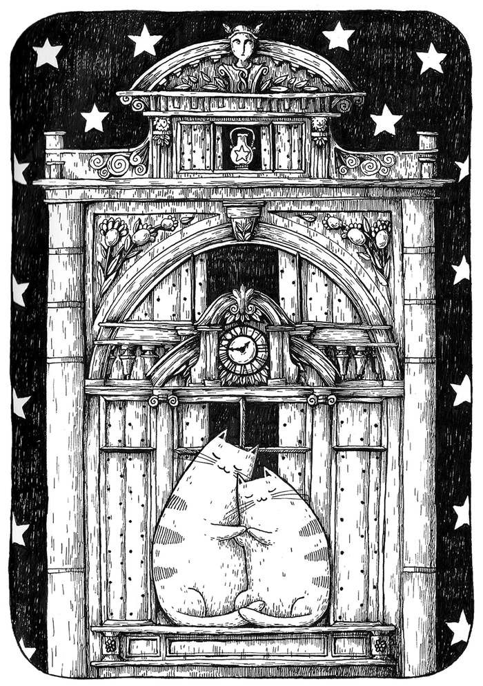 Котеньки в Питере