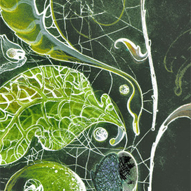 Из-под снега