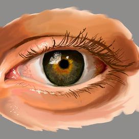 Eye