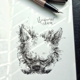 Цицилий спит