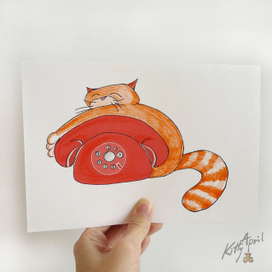 Жду твоего звонка...