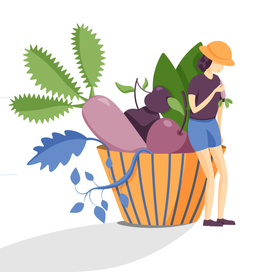 Иллюстрация для статьи