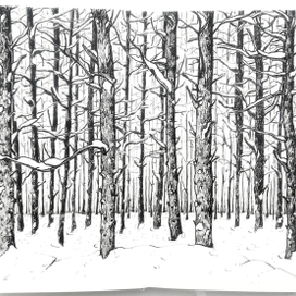 покскетчить 5