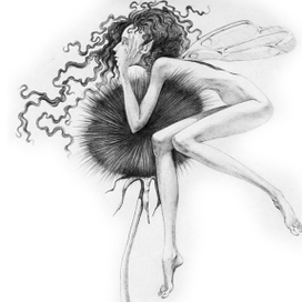 (без названия)