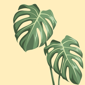 Векторная иллюстрация