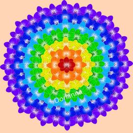 Мандала из цветов орхидеи