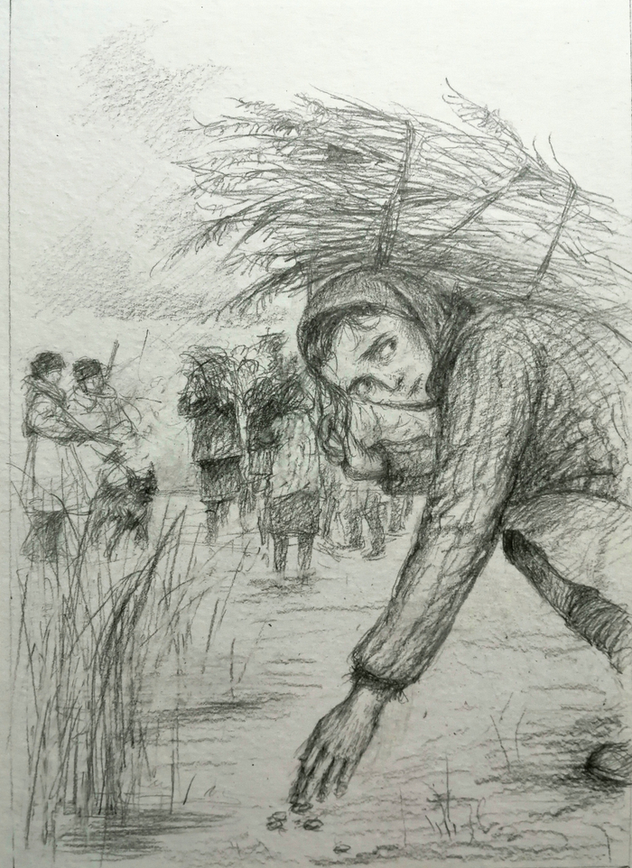 " Алжирская тетрадь "