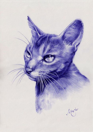 Абиссинская тайна