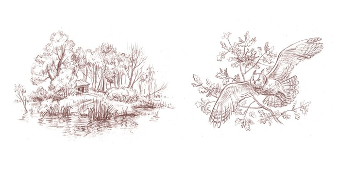  Радзиевская Софья "Болотные робинзоны". Титул и авантитул