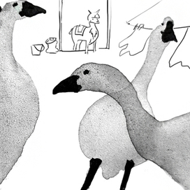 случай на ферме