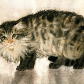 Пёстрая кошка