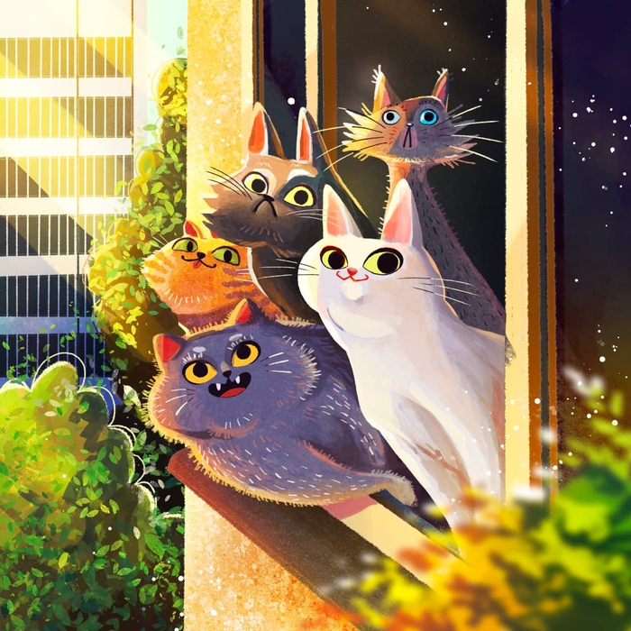 Соседское окно