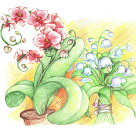 ландыш и орхидея