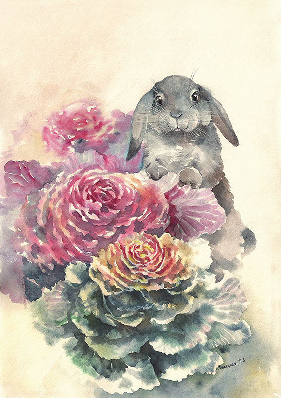 Зайкина капуста