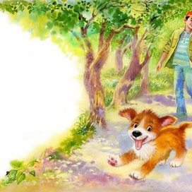 На прогулке