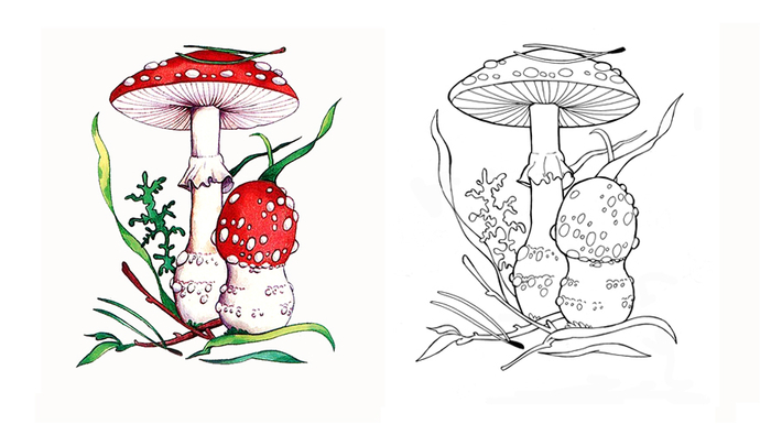 Мухомор. Развивающая раскраска по образцу