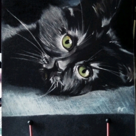 Рыдайте тёти сейчас будет котик