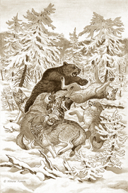 Глухарь, которого я не стреляю.