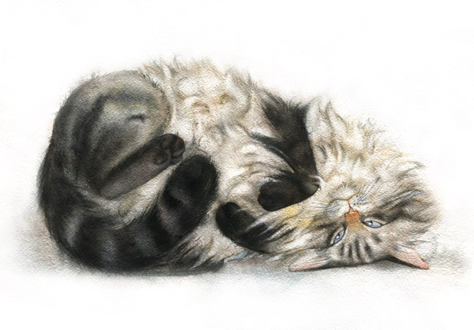 Кошка баловница