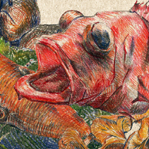 Уха из петуха