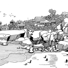 Боулдерс Бич. Саймонс Таун. Южная Африка