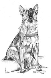 Мотя, шайбу, шайбу!!