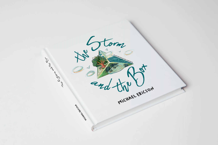 Обложка "The Storm & The Box" 