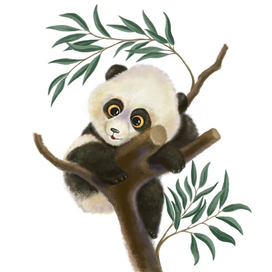 Панда персонаж