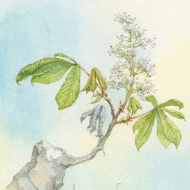 Резчик по камню