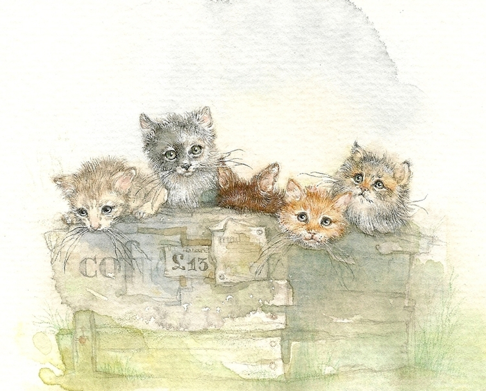 Крольчонок