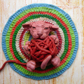 "котенок сфинкса и гигантский клубок"