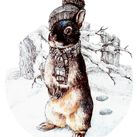 Зимний Кроля