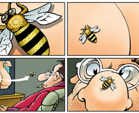 "Пчёлка" Раскадровка к рекламному ролику