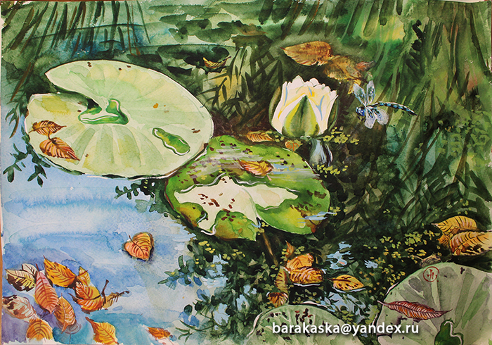 синий буйвол